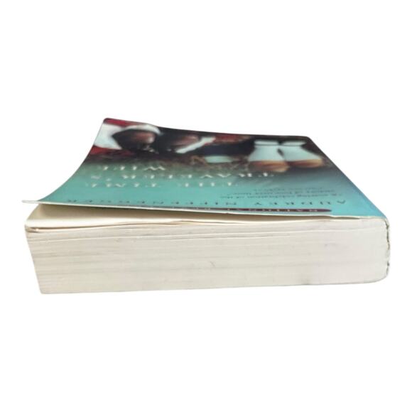 The Time Traveler's Wife Book Audrey Niffenegger Used Great Condition - Picture 4 of 7